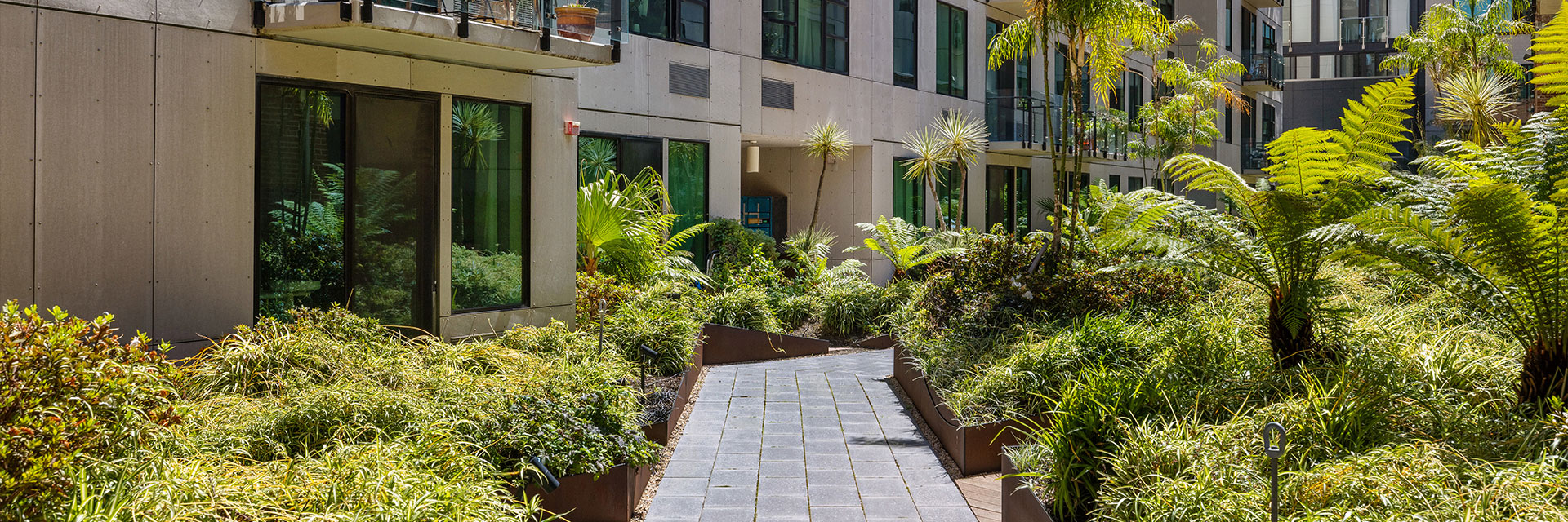 Dogpatch Apartments for Rent- Beautiful Zen Garden With Gray Tile Path